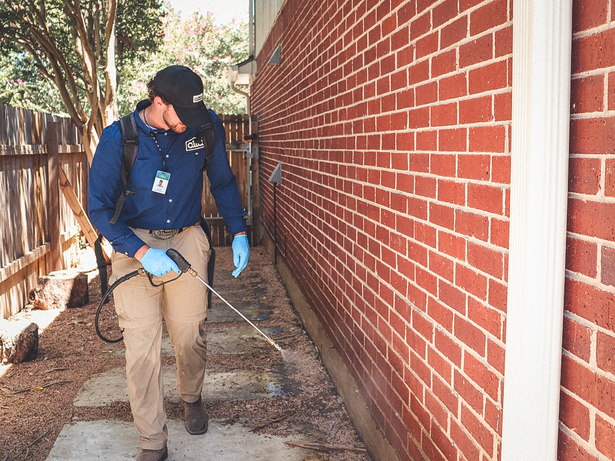 Knoxville cricket exterminator spraying base of home