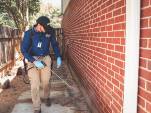 flea exterminator Virginia Beach, VA spraying base of home