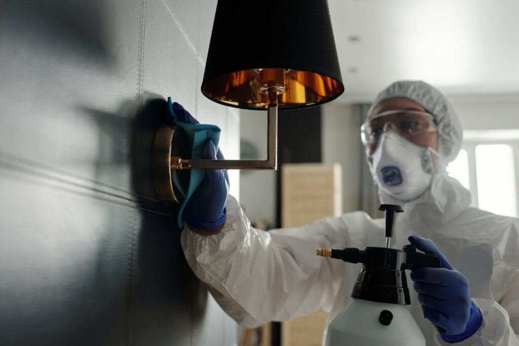 Top Pest Control Services in San Antonio