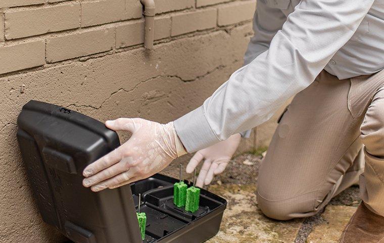 mouse bait station, can mice climb walls?