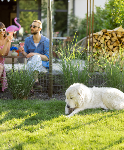 dog and owners hanging outside without fleas